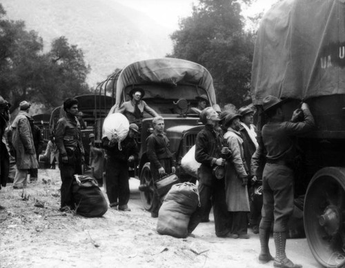 Civilian Conservation Corps reforestation, view 9