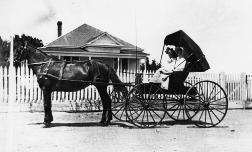 Women in a buggy