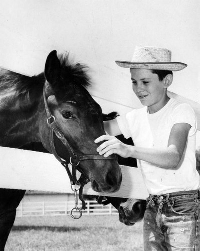 Fine horses roam pastures of beautiful Valley ranches