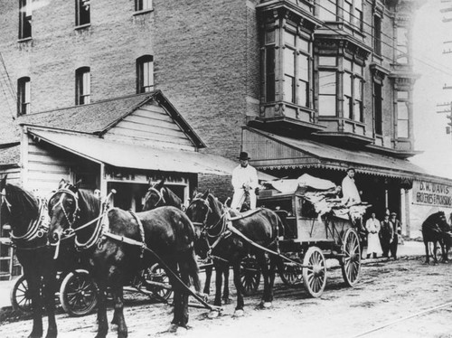 D.W. Davis Groceries and Provisions store