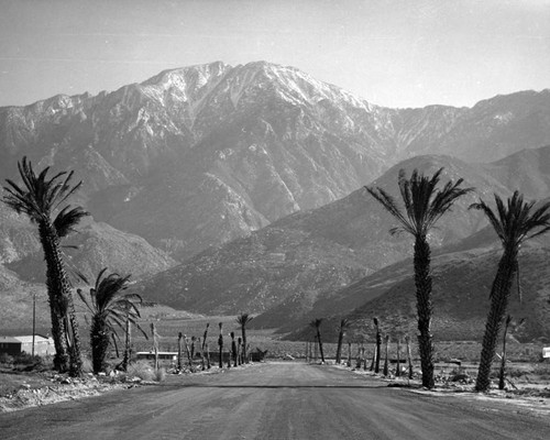 West Palm Springs dirt road