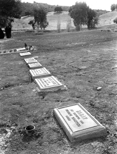 L.A. Pet Cemetery