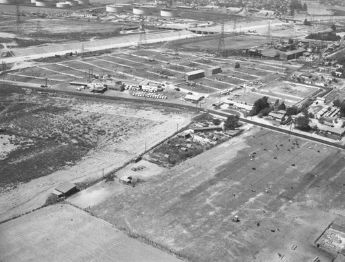 Rockview Milk Farms, Stewart and Gray Road, looking northwest