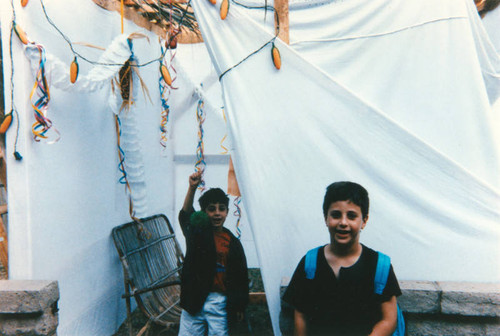 Sukkah in backyard