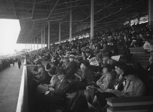 Crowded main grandstand at Santa Anita Racetrack