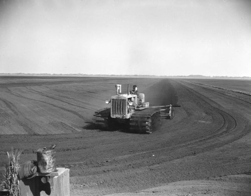 Sacramento Delta farming