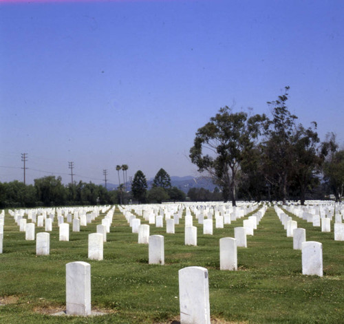 Veteran's Administration Cemetery