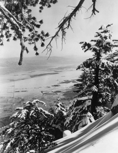 Palm Springs Aerial Tramway Mountain Station