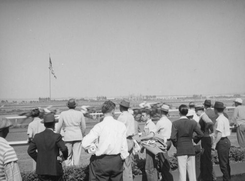 Watching a race at Hollywood Park