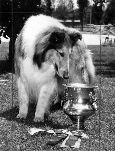 Retires Valley Times trophy