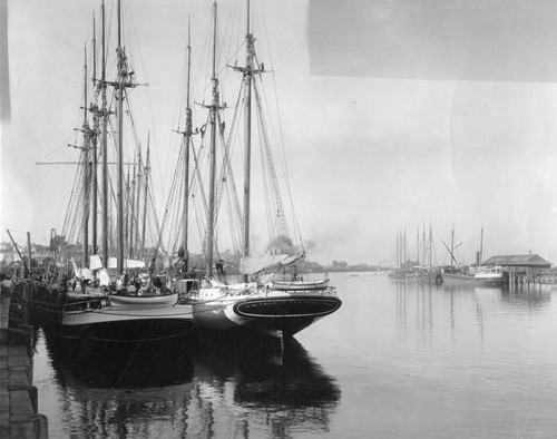 Yachts in L.A. Harbor