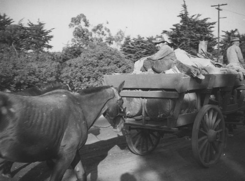 Bean straw workers