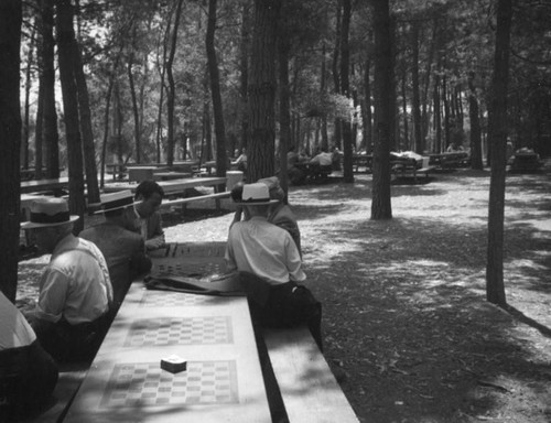 Chess tables in a park