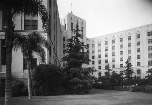 Cedars of Lebanon Hospital