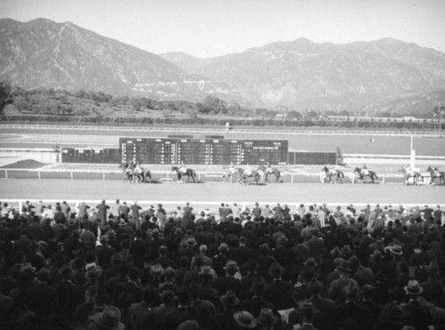 Horses walking by the scoreboard, Santa Anita Racetrack