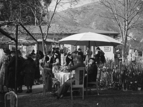 Tearoom and mountains, Wistaria Vine, Sierra Madre