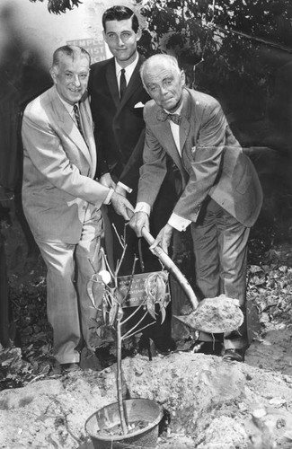 Tree planting in Pershing Square