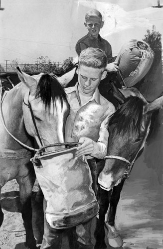 Equestrians pack for trail ride