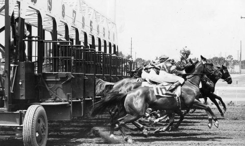 Los Alamitos Race Track