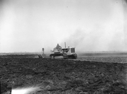 Sacramento Delta farming