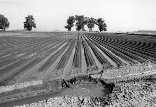 Imperial Valley irrigation