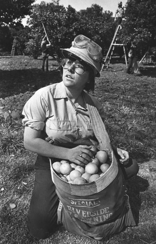 California Conservation Corps