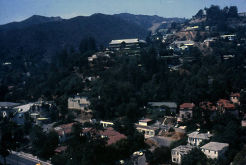 Hollywood Hills