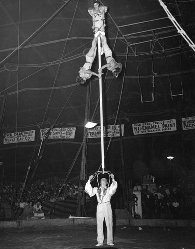 Circus act