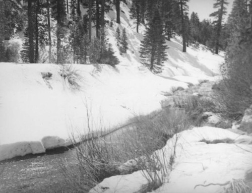 Creek in the San Bernardino Mountains