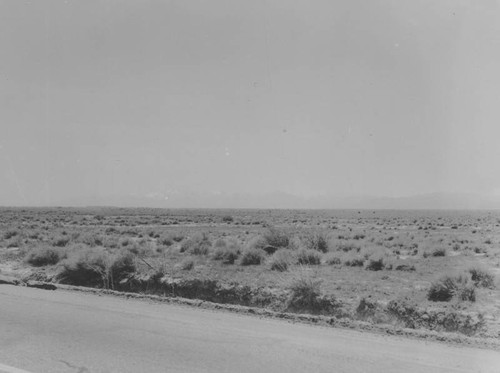 San Andreas Fault escarpment