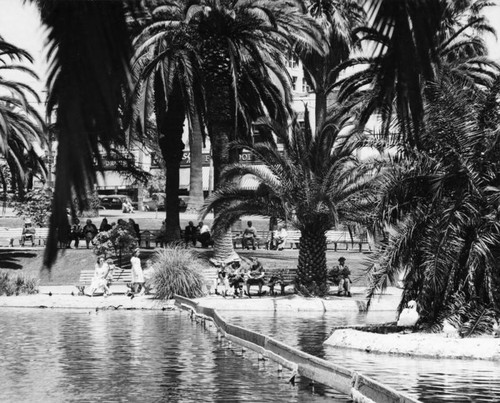 Enjoying the shade at MacArthur Park