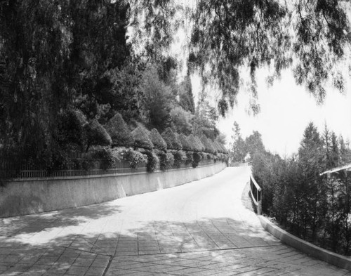 Driveway to the Bernheimer Estate, Hollywood