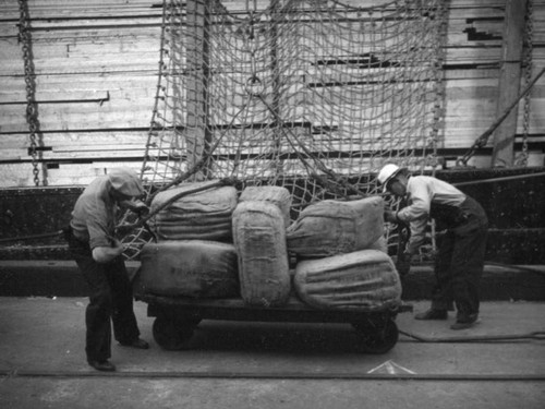 L. A. Harbor, dockworkers load the Coya