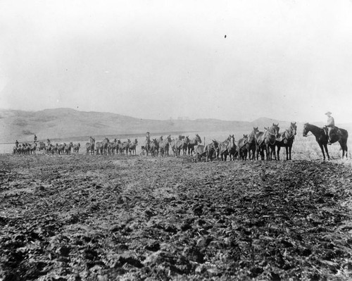 Early Van Nuys farm scene