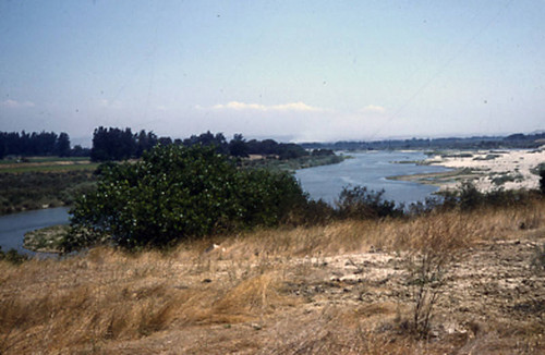 Salinas River