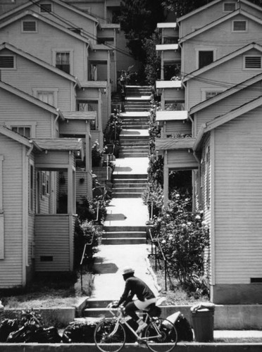 Sunset Boulevard cottages on the hillside