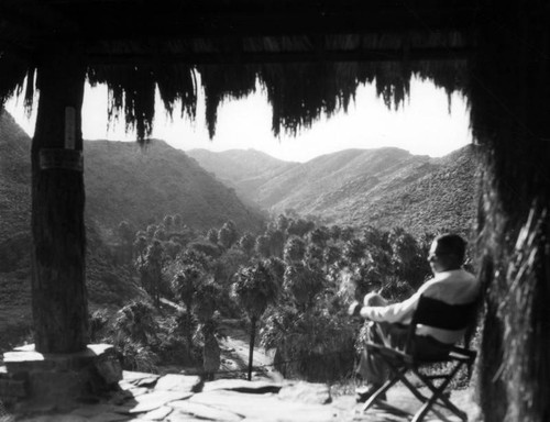 Palm Canyon Trading Post, Palm Canyon