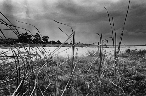 San Juan Creek estuary, a natural scene in Orange County