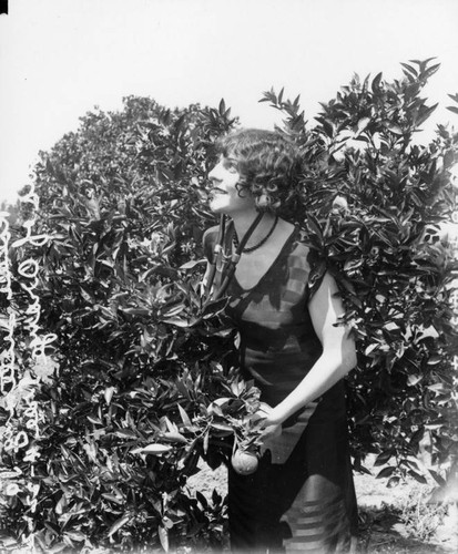 Woman posing with orange tree, view 3