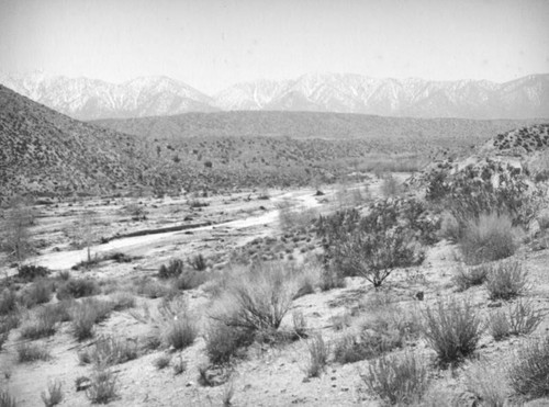 Stream through the Mojave Desert