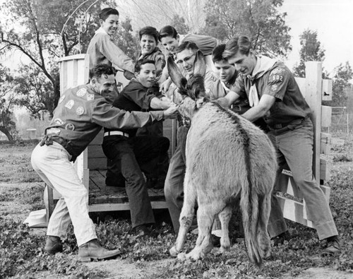 Valley Scouts hunt burros in wasteland