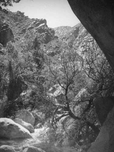 Tahquitz Canyon stream