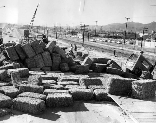 Golden State freeway drivers have a hay day