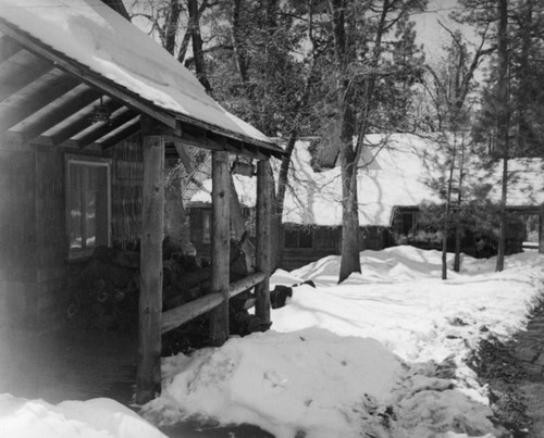 Cabins in Idyllwild