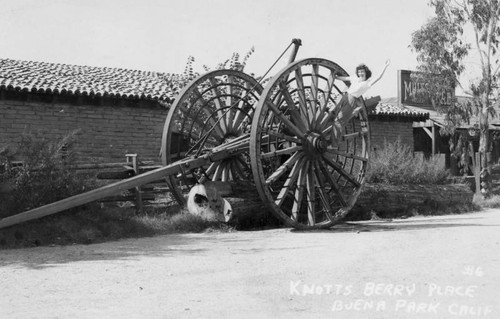 Knott's Berry Farm visitor