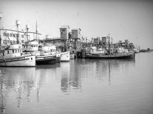 Boats docked by a packing house at Terminal Island