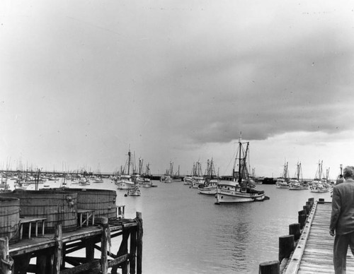 Monterey harbor