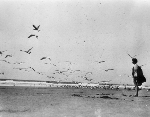 Girl and gulls share the beach