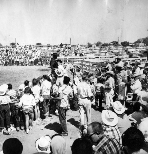 Rodeo draws crowd