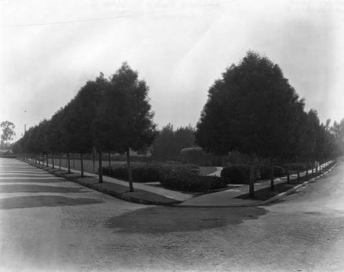 View of Garvanza Park